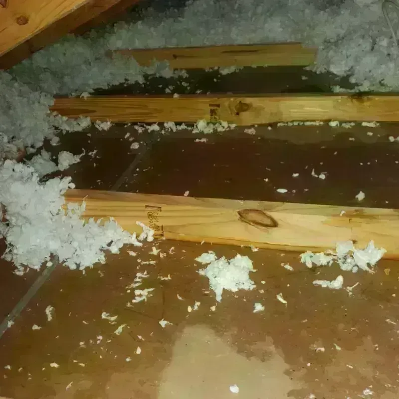 Attic Water Damage in Poweshiek County, IA